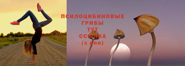 гидра Зеленодольск