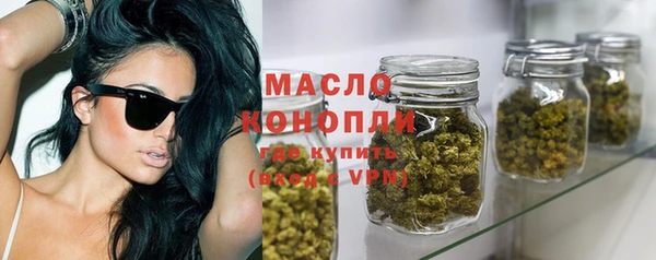 гидра Зеленодольск