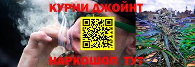 apvp Гусев
