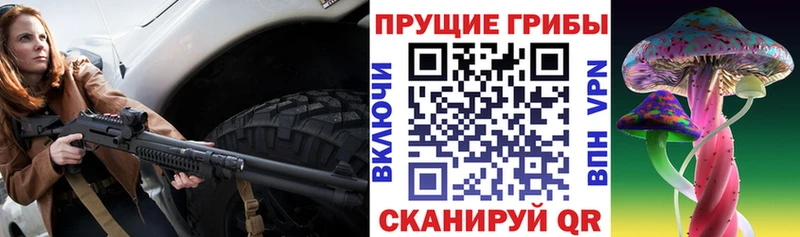 Галлюциногенные грибы GOLDEN TEACHER  где купить наркотик  Ноябрьск 