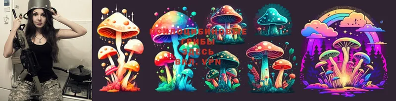 закладки  Ноябрьск  Галлюциногенные грибы Cubensis 