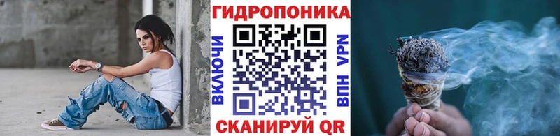 Марихуана AK-47  купить   кракен как войти  Ноябрьск 
